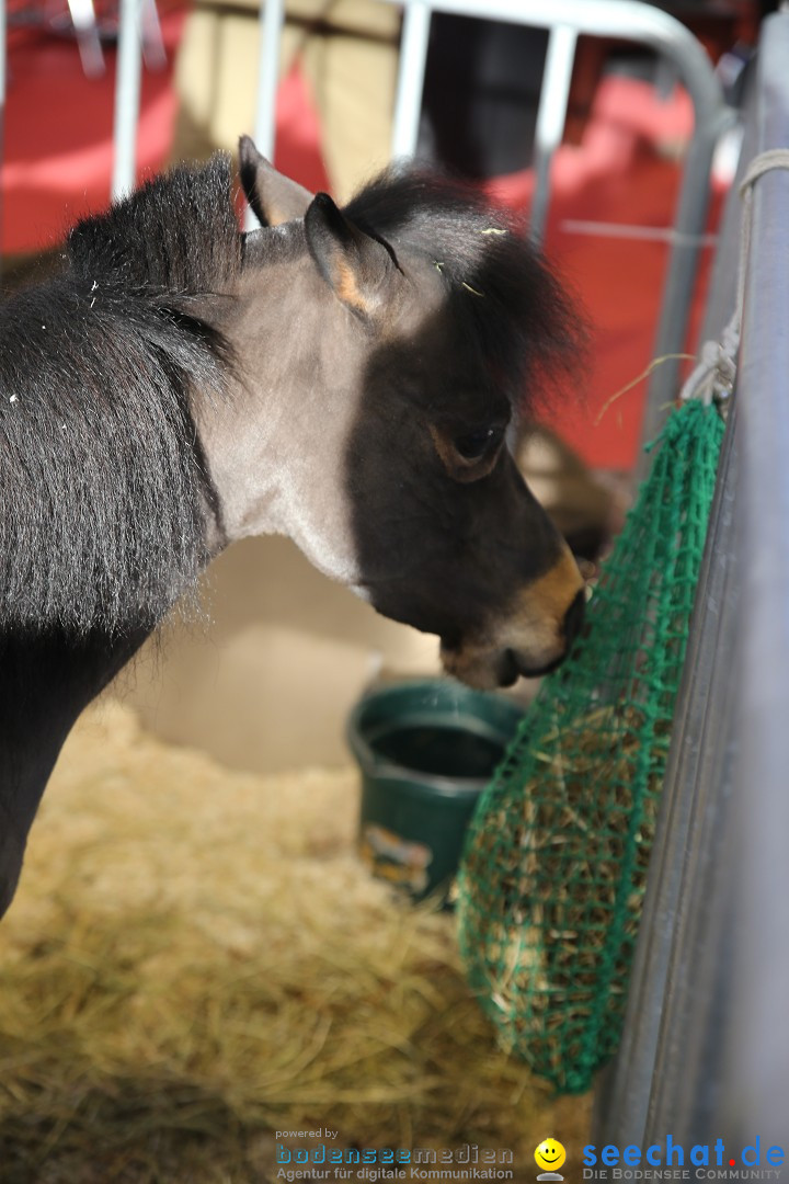 PFERD BODENSEE: Friedrichshafen am Bodensee, 13.02.2016