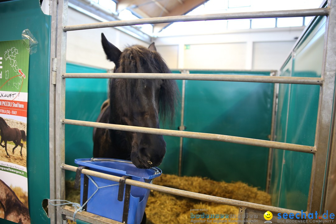 PFERD BODENSEE: Friedrichshafen am Bodensee, 13.02.2016