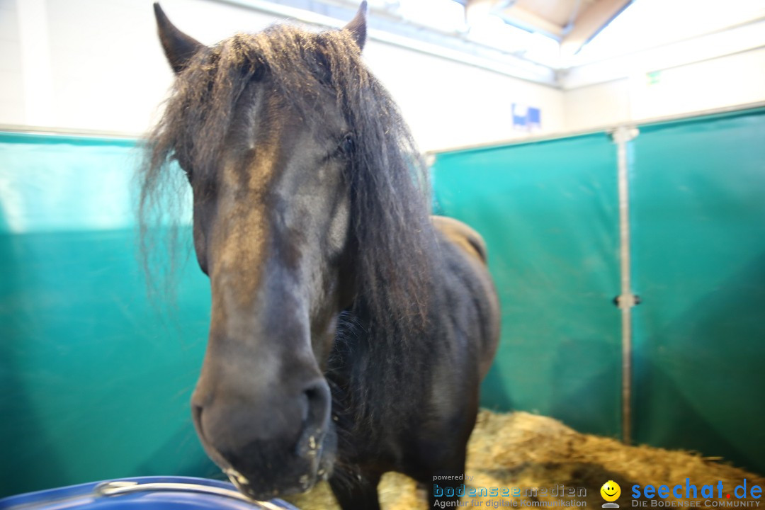 PFERD BODENSEE: Friedrichshafen am Bodensee, 13.02.2016