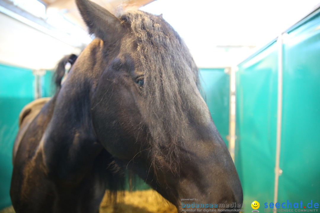 PFERD BODENSEE: Friedrichshafen am Bodensee, 13.02.2016