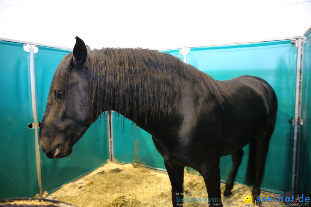 PFERD BODENSEE: Friedrichshafen am Bodensee, 13.02.2016