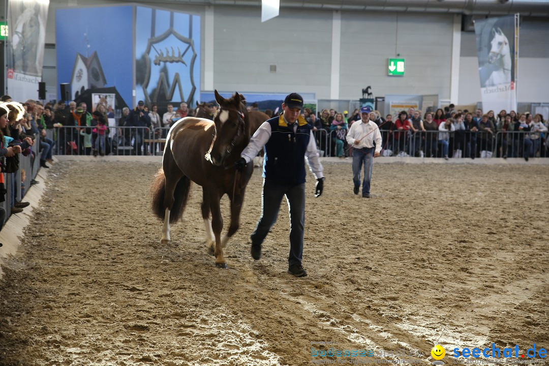 PFERD BODENSEE: Friedrichshafen am Bodensee, 13.02.2016