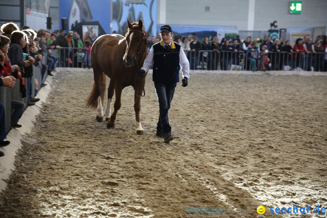 PFERD BODENSEE: Friedrichshafen am Bodensee, 13.02.2016