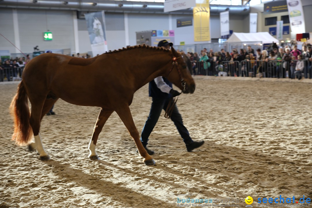 PFERD BODENSEE: Friedrichshafen am Bodensee, 13.02.2016