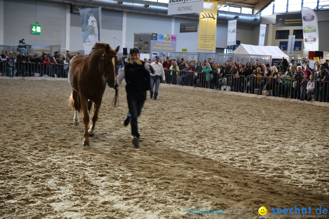 PFERD BODENSEE: Friedrichshafen am Bodensee, 13.02.2016