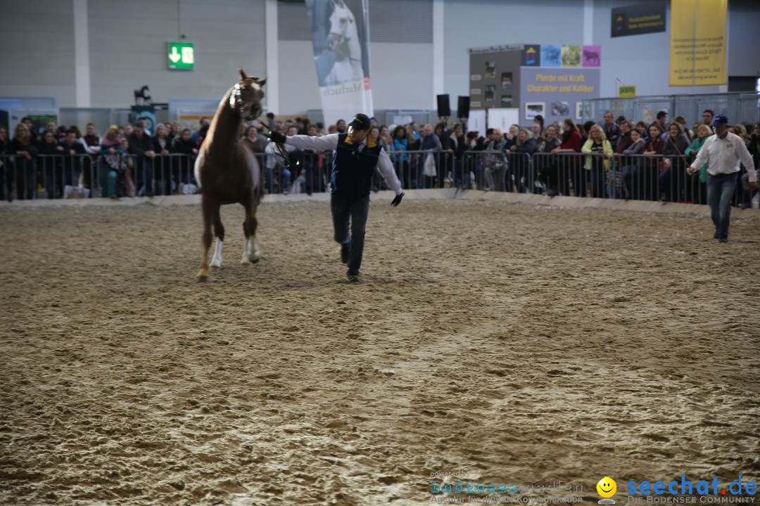 PFERD BODENSEE: Friedrichshafen am Bodensee, 13.02.2016