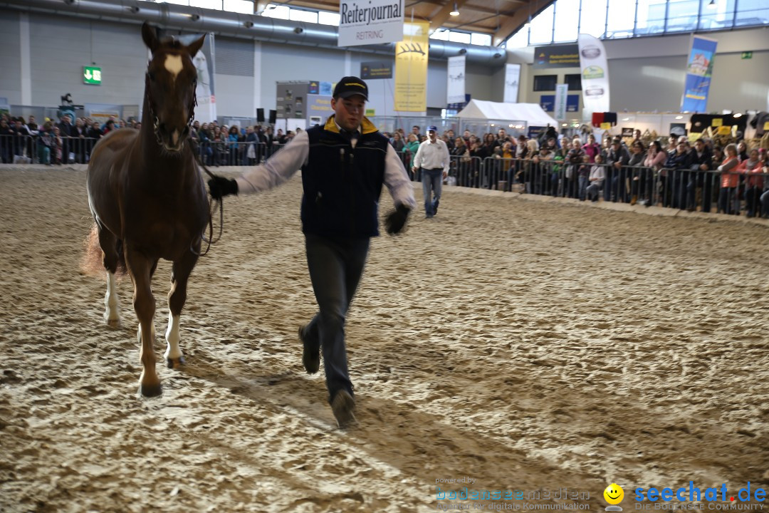 PFERD BODENSEE: Friedrichshafen am Bodensee, 13.02.2016