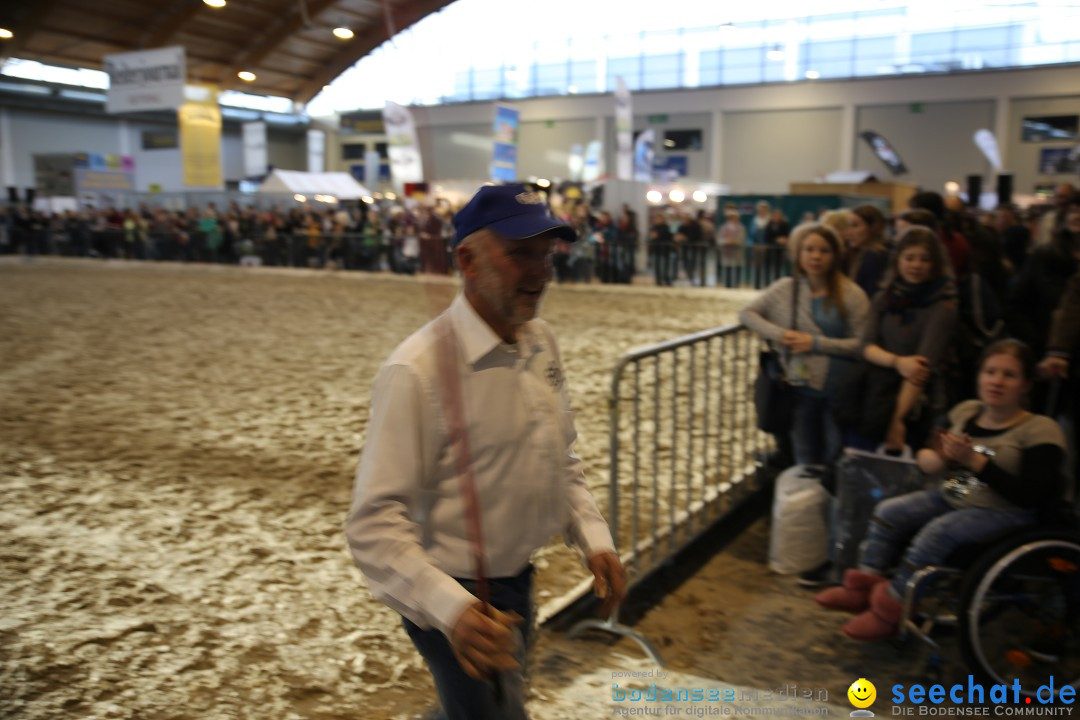 PFERD BODENSEE: Friedrichshafen am Bodensee, 13.02.2016