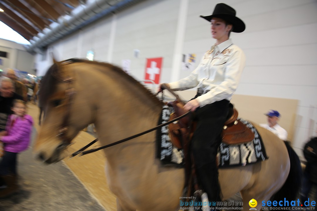 PFERD BODENSEE: Friedrichshafen am Bodensee, 13.02.2016