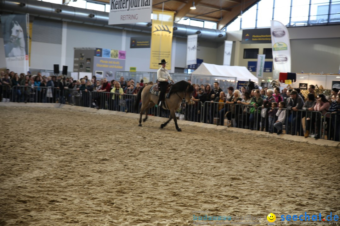 PFERD BODENSEE: Friedrichshafen am Bodensee, 13.02.2016