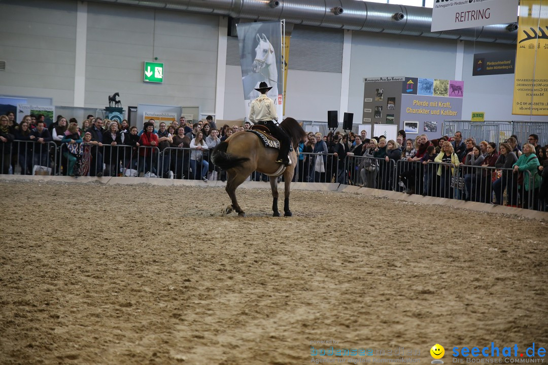 PFERD BODENSEE: Friedrichshafen am Bodensee, 13.02.2016