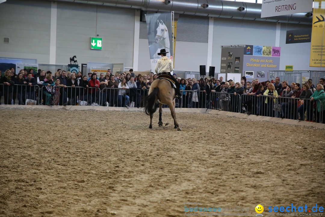 PFERD BODENSEE: Friedrichshafen am Bodensee, 13.02.2016