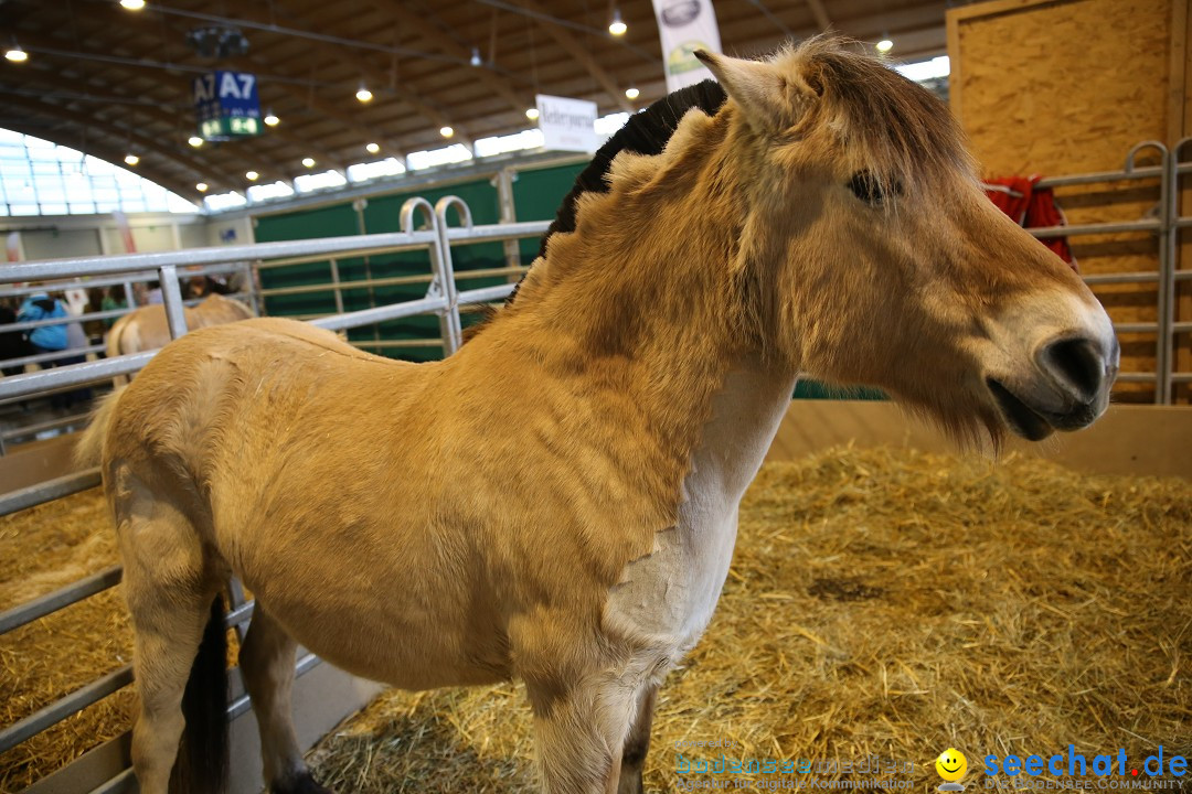 PFERD BODENSEE: Friedrichshafen am Bodensee, 13.02.2016