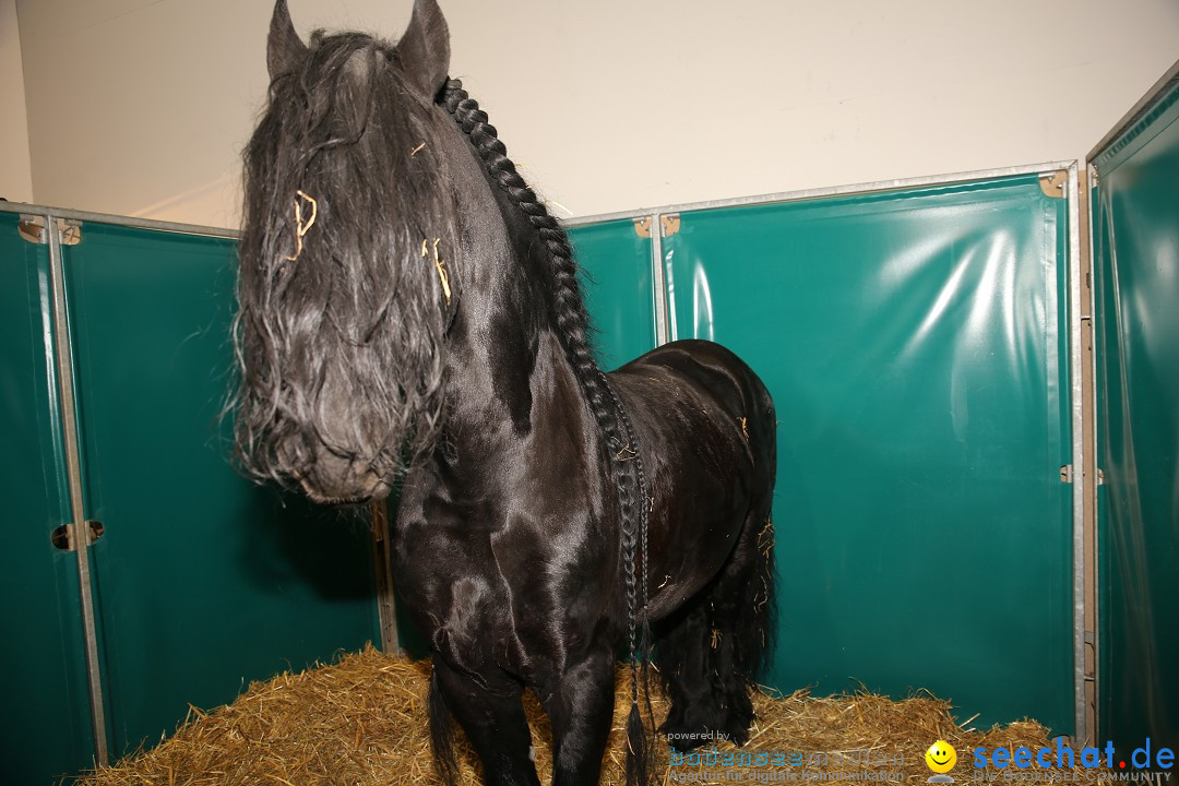 PFERD BODENSEE: Friedrichshafen am Bodensee, 13.02.2016