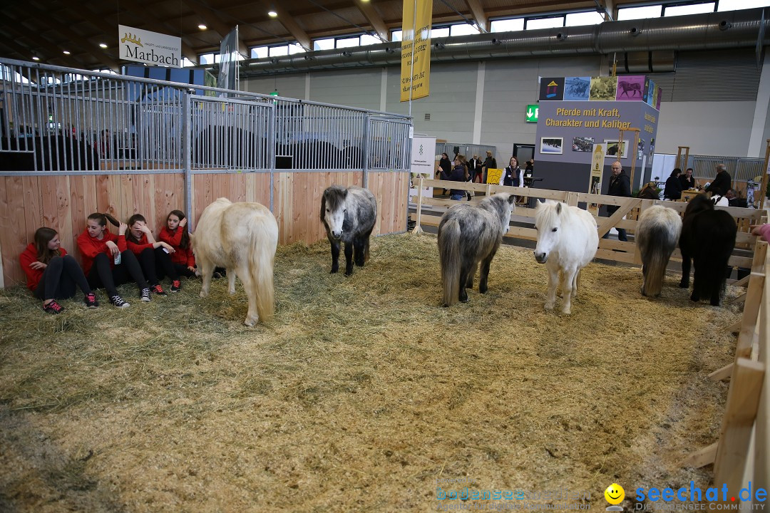 PFERD BODENSEE: Friedrichshafen am Bodensee, 13.02.2016