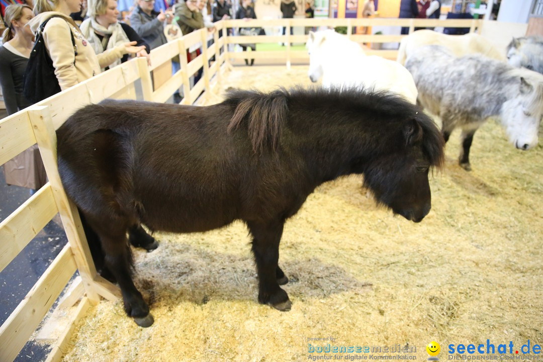 PFERD BODENSEE: Friedrichshafen am Bodensee, 13.02.2016