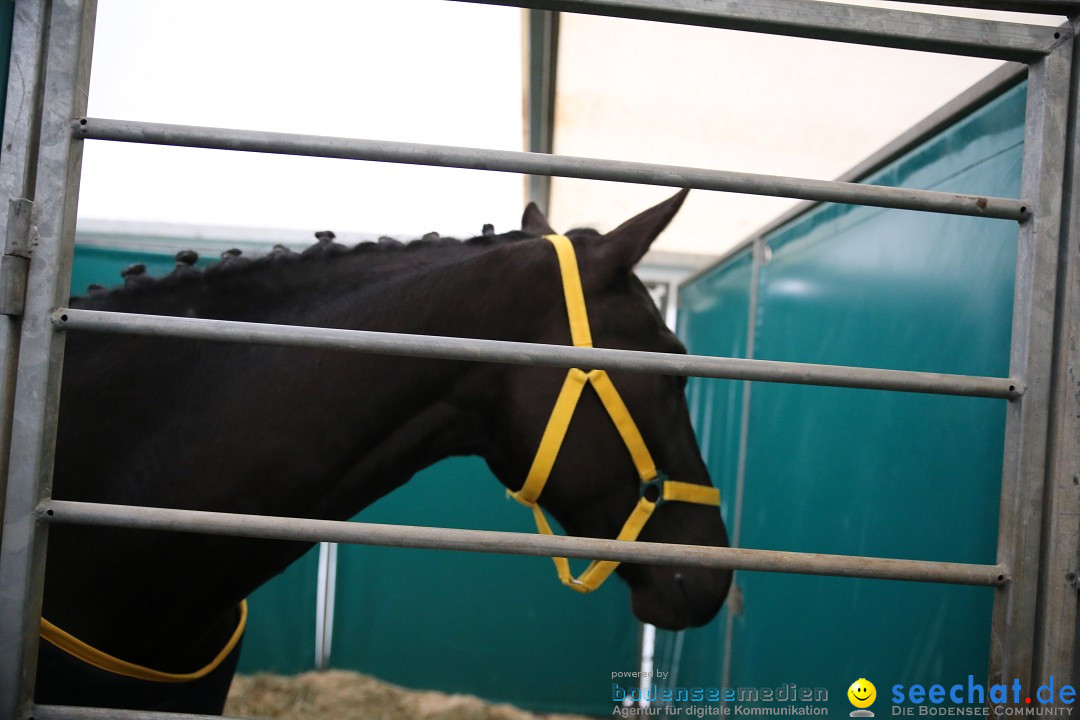 PFERD BODENSEE: Friedrichshafen am Bodensee, 13.02.2016