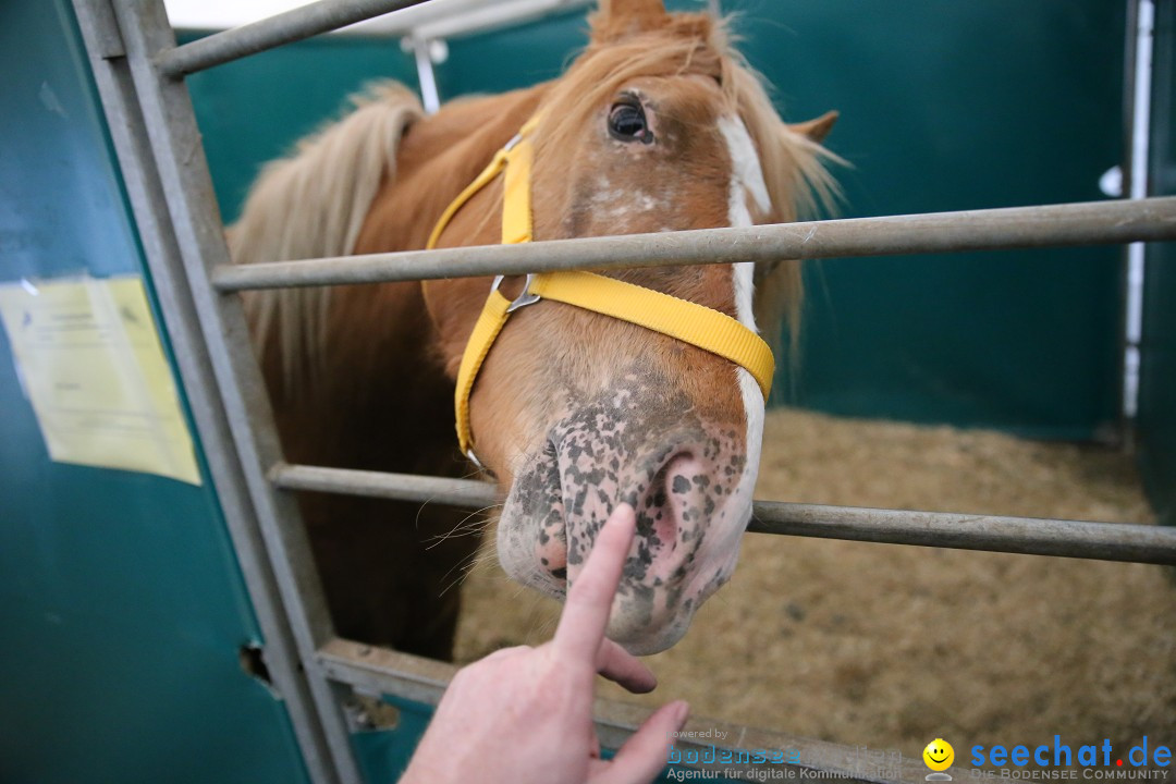 PFERD BODENSEE: Friedrichshafen am Bodensee, 13.02.2016