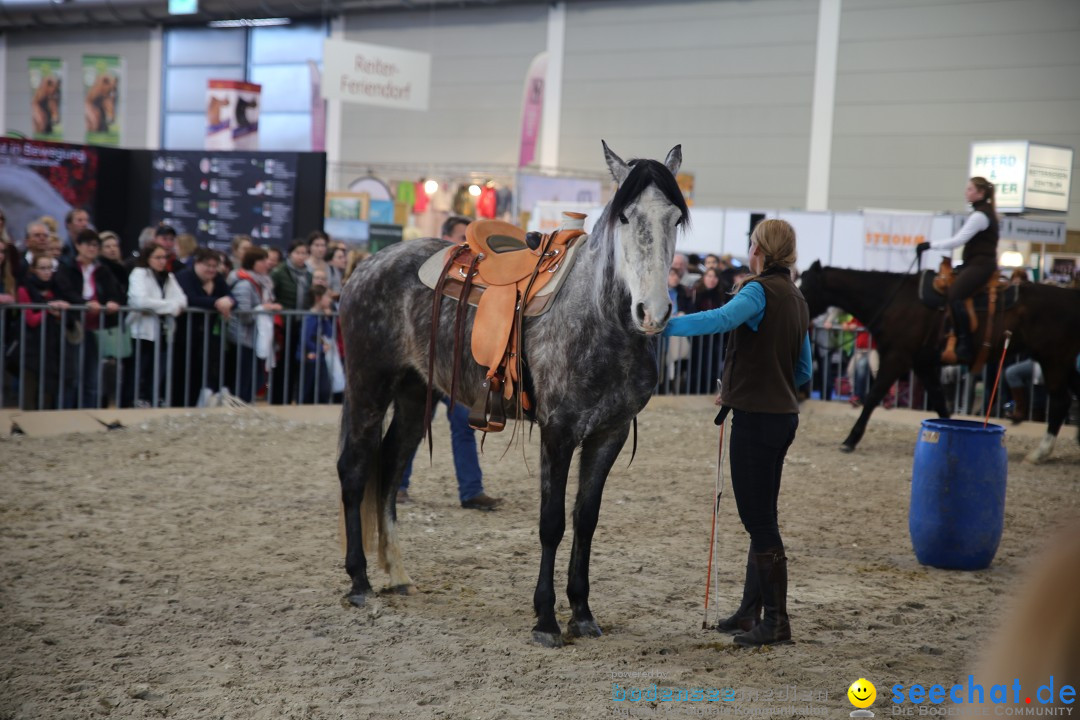 PFERD BODENSEE: Friedrichshafen am Bodensee, 13.02.2016