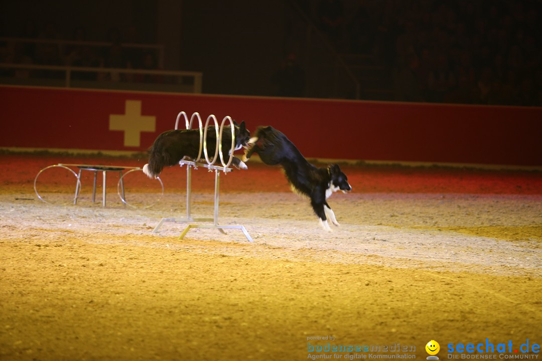 Im Takt der Pferde - GALA: Friedrichshafen am Bodensee, 13.02.2016