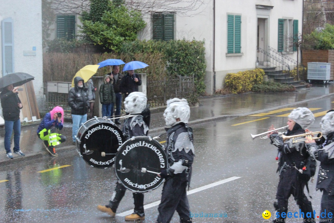 Fasnachtsumzug-Buerglen-14-02-2016-Bodensee-Community-SEECHAT_DE-_20_.jpg