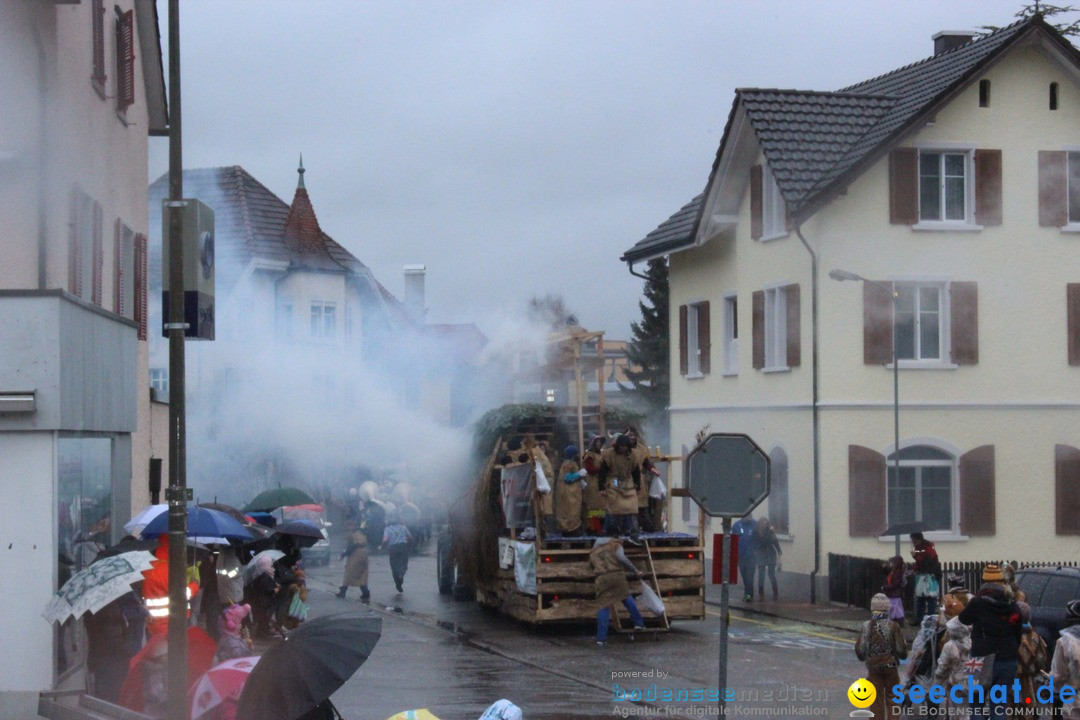 Fasnachtsumzug-Buerglen-14-02-2016-Bodensee-Community-SEECHAT_DE-_26_.jpg