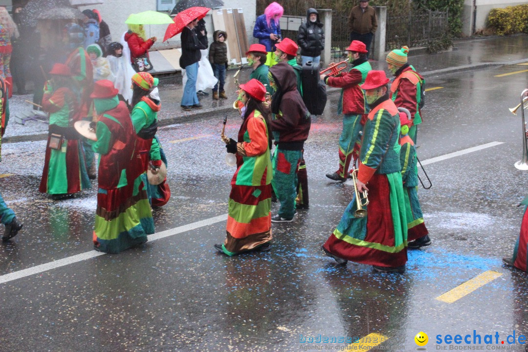 Fasnachtsumzug-Buerglen-14-02-2016-Bodensee-Community-SEECHAT_DE-_32_.jpg