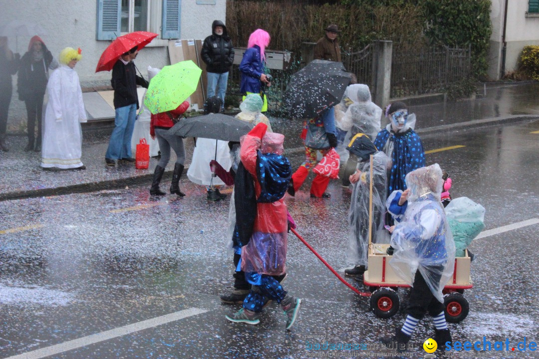 Fasnachtsumzug-Buerglen-14-02-2016-Bodensee-Community-SEECHAT_DE-_38_.jpg