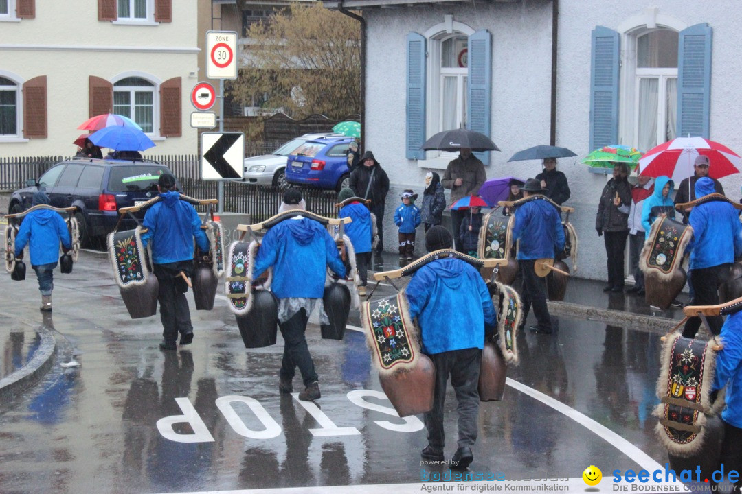 Fasnachtsumzug-Buerglen-14-02-2016-Bodensee-Community-SEECHAT_DE-_4_.jpg