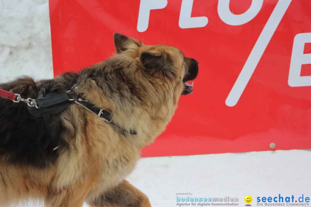 1. Schlager im Schnee auf der Molseralp, Flumserberg - Schweiz, 13.03.2016