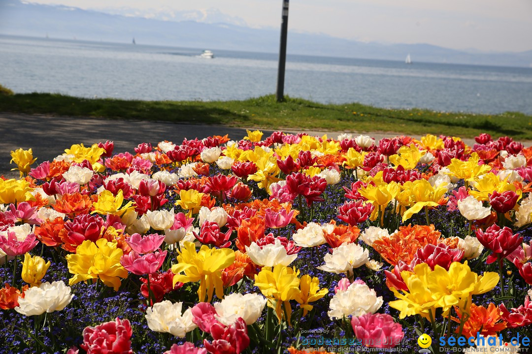 45. Internationale Flottensternfahrt: Bodensee - Bregenz, 30.04.2016