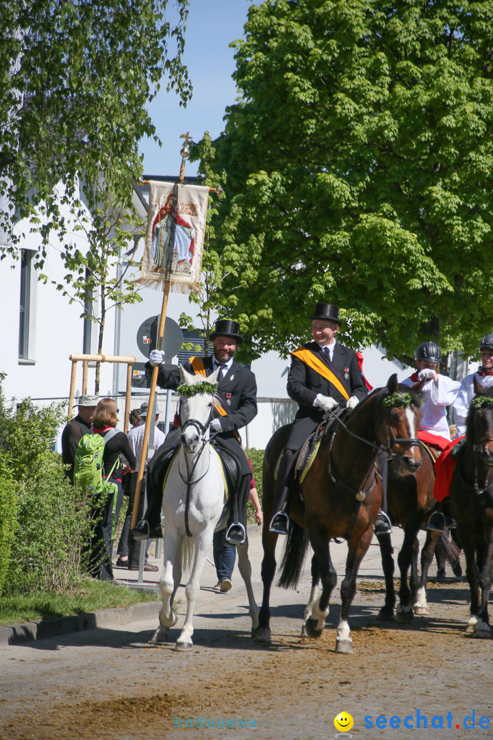 Blutritt: Heilig-Blut-Reliquie: Weingarten am Bodensee, 06.05.2016