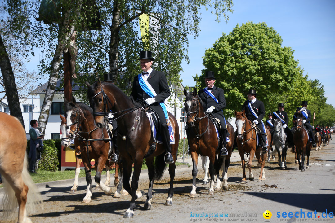 Blutritt: Heilig-Blut-Reliquie: Weingarten am Bodensee, 06.05.2016