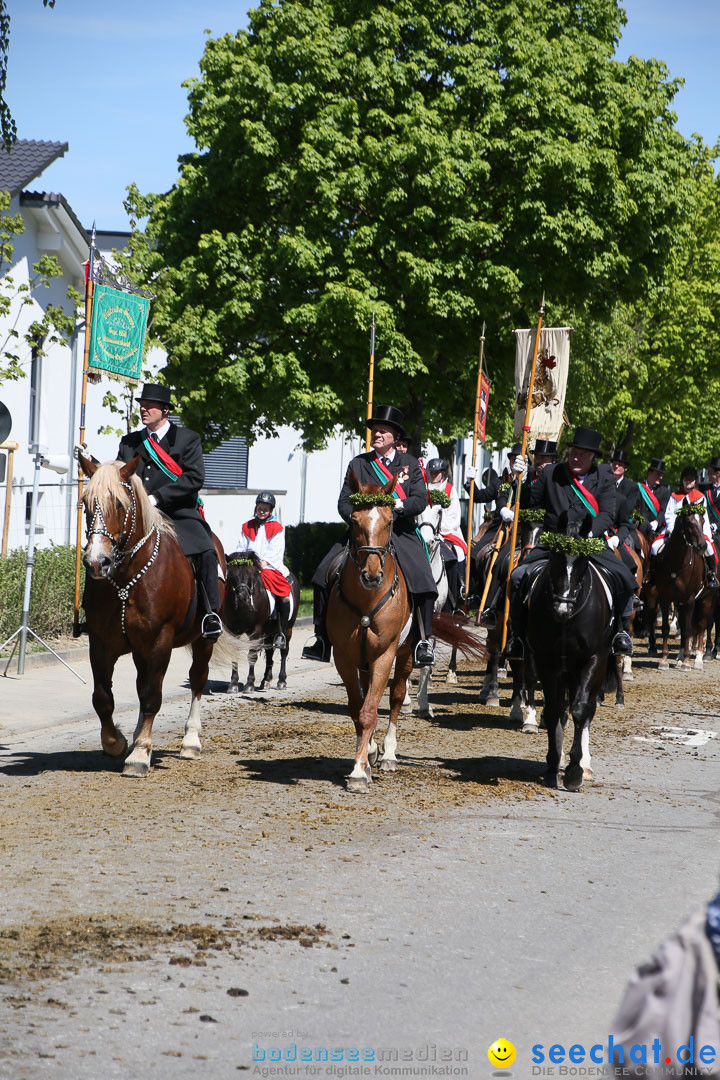 Blutritt: Heilig-Blut-Reliquie: Weingarten am Bodensee, 06.05.2016