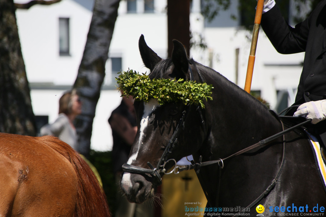 Blutritt: Heilig-Blut-Reliquie: Weingarten am Bodensee, 06.05.2016