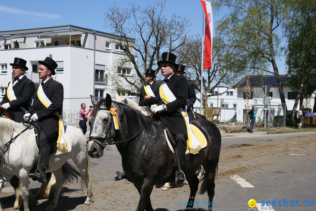 Blutritt: Heilig-Blut-Reliquie: Weingarten am Bodensee, 06.05.2016