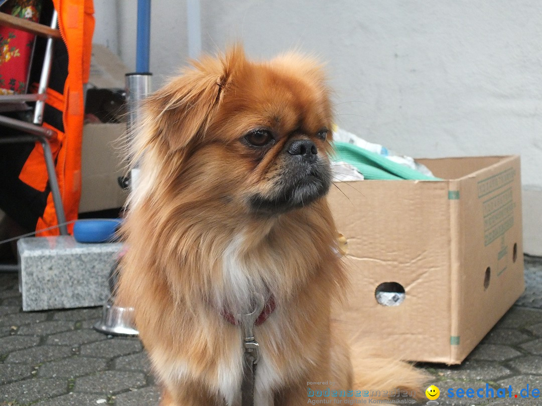 Flohmarkt in Bad-Saulgau am Bodensee, 14.05.2016