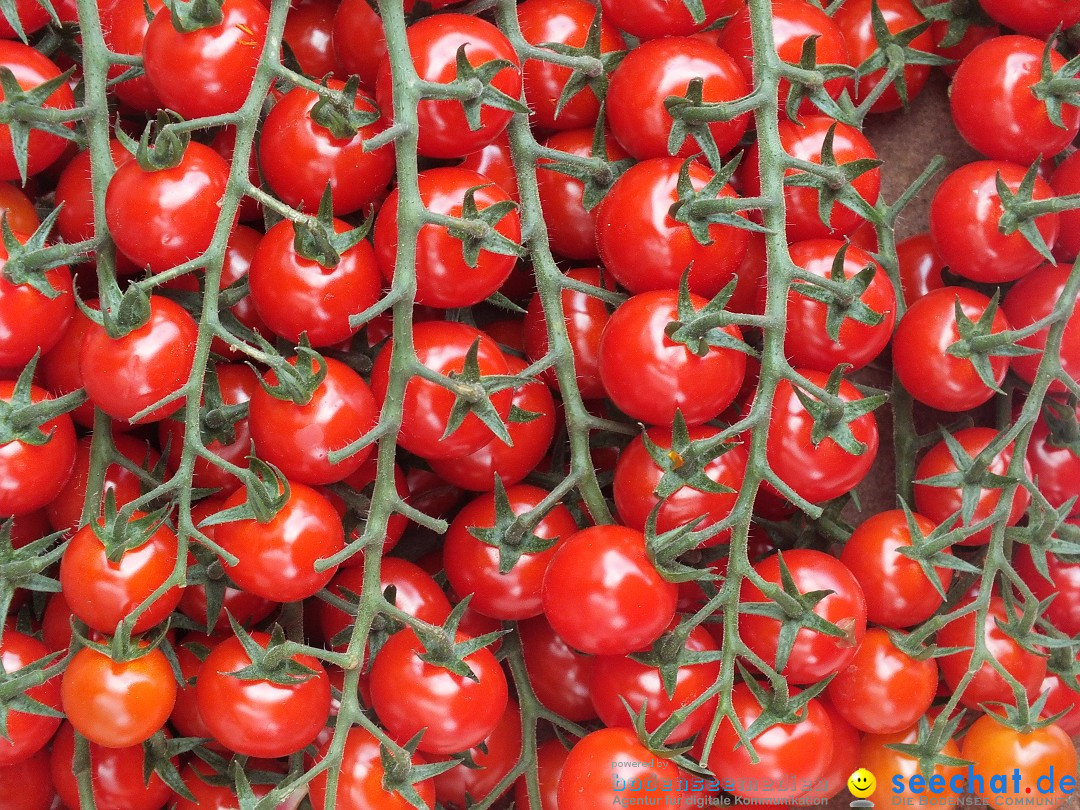 Flohmarkt in Bad-Saulgau am Bodensee, 14.05.2016