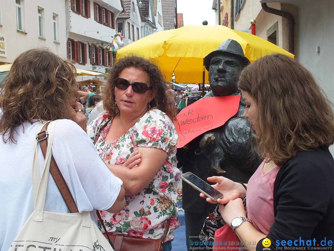 Flohmarkt in Riedlingen am Bodensee, 28.05.2015