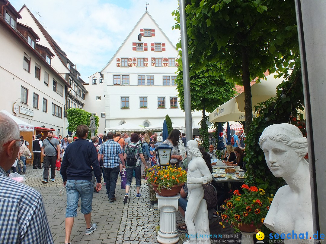 Flohmarkt in Riedlingen am Bodensee, 28.05.2015