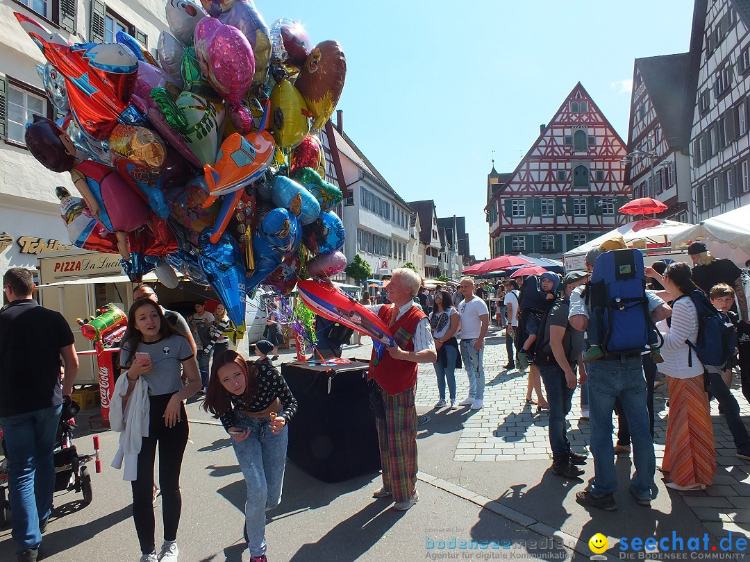 Flohmarkt in Riedlingen am Bodensee, 28.05.2015