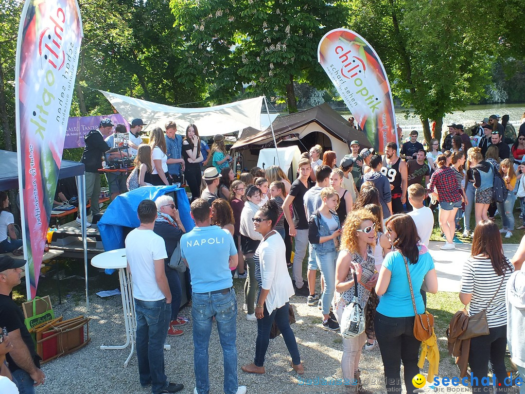 Flohmarkt in Riedlingen am Bodensee, 28.05.2015