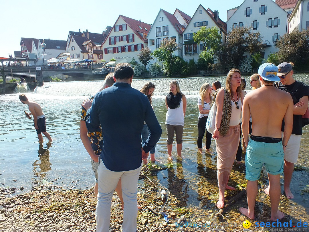 Flohmarkt in Riedlingen am Bodensee, 28.05.2015