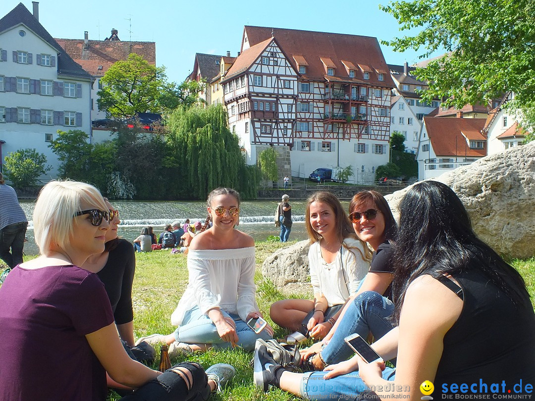 Flohmarkt in Riedlingen am Bodensee, 28.05.2015