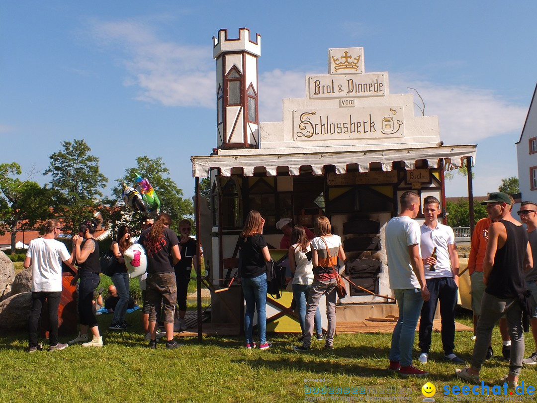 Flohmarkt in Riedlingen am Bodensee, 28.05.2015