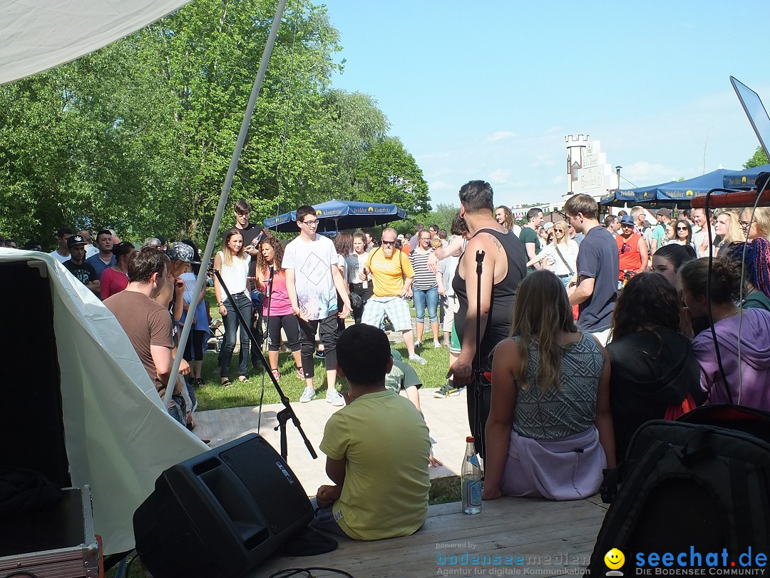 Flohmarkt in Riedlingen am Bodensee, 28.05.2015