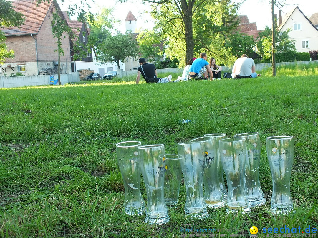 Flohmarkt in Riedlingen am Bodensee, 28.05.2015