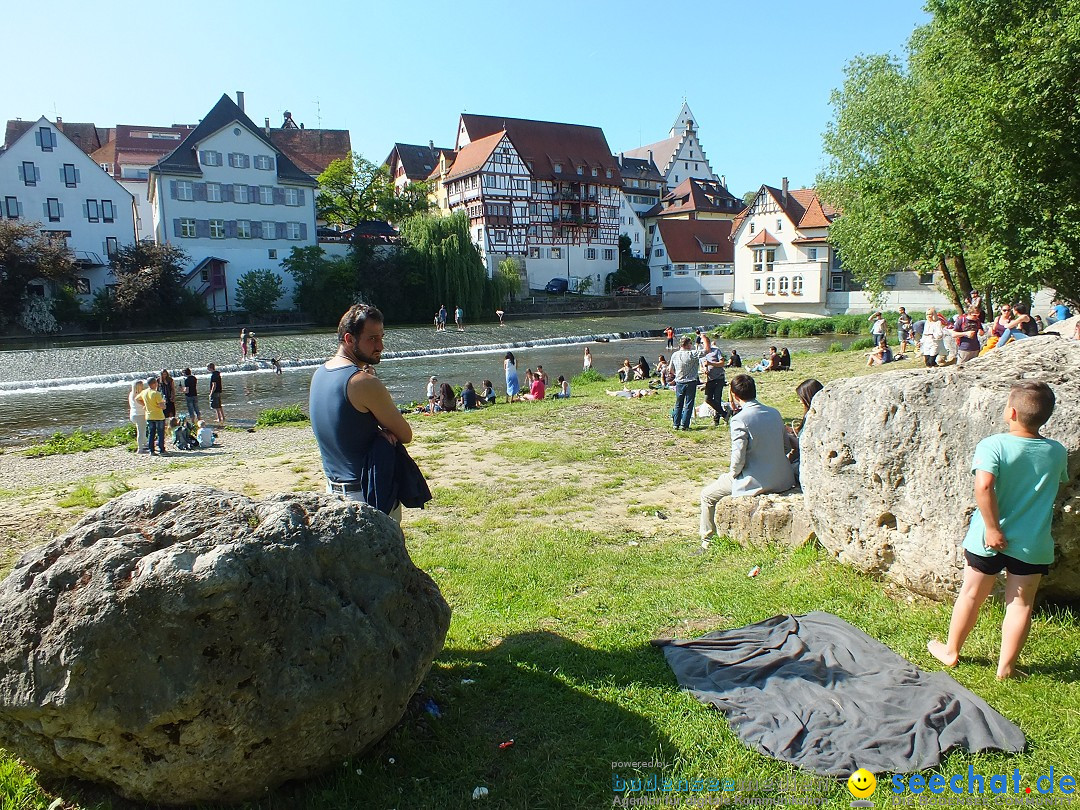 Flohmarkt in Riedlingen am Bodensee, 28.05.2015