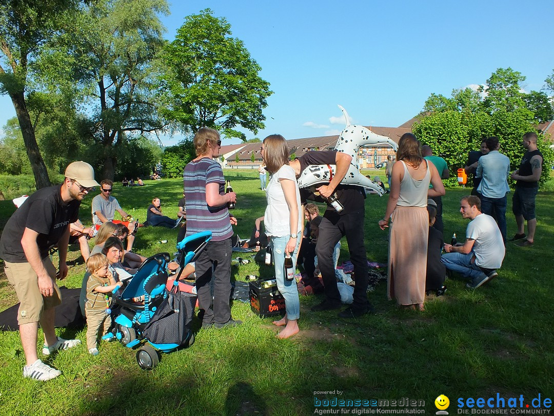 Flohmarkt in Riedlingen am Bodensee, 28.05.2015