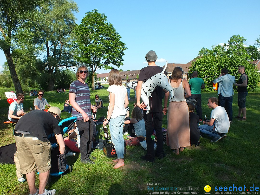 Flohmarkt in Riedlingen am Bodensee, 28.05.2015